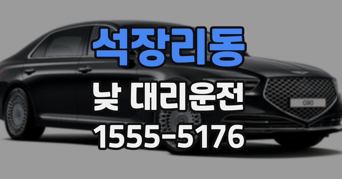 석장리동 낮 대리운전