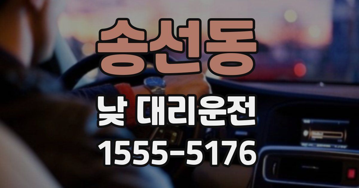 송선동 낮 대리운전