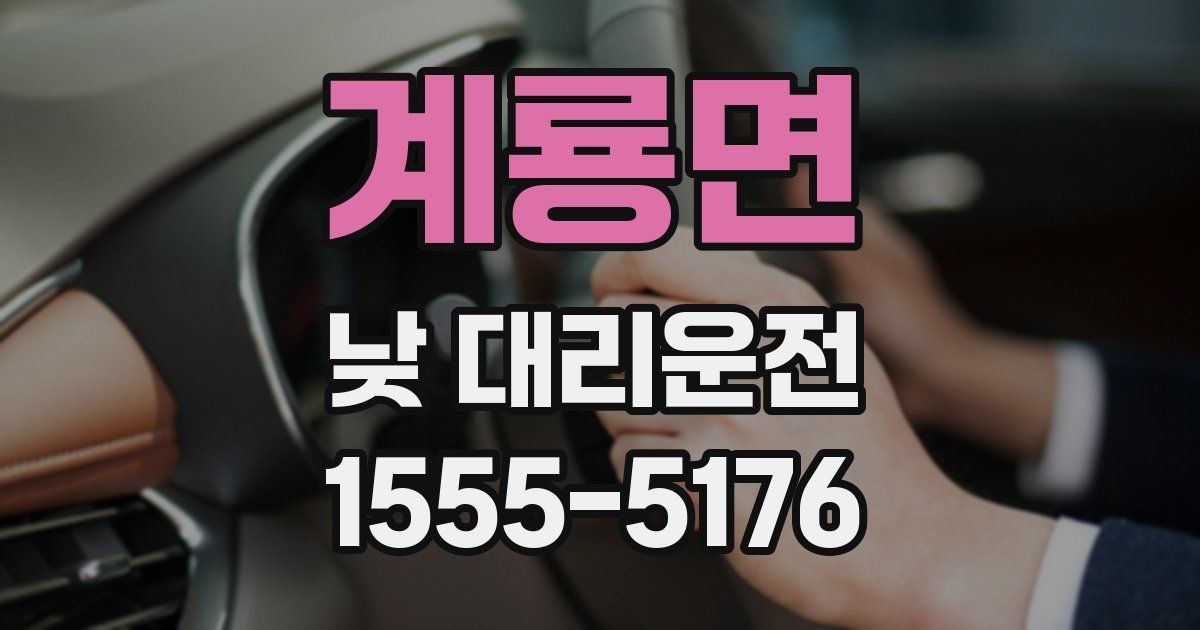 계룡면 낮 대리운전