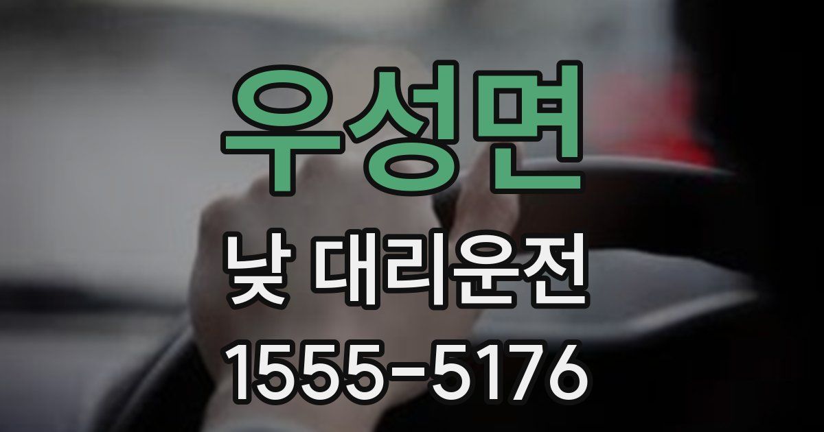 우성면 낮 대리운전