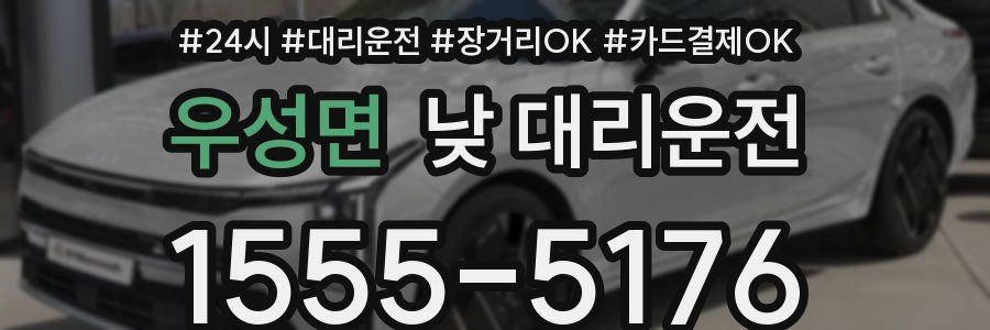 우성면 낮 대리운전