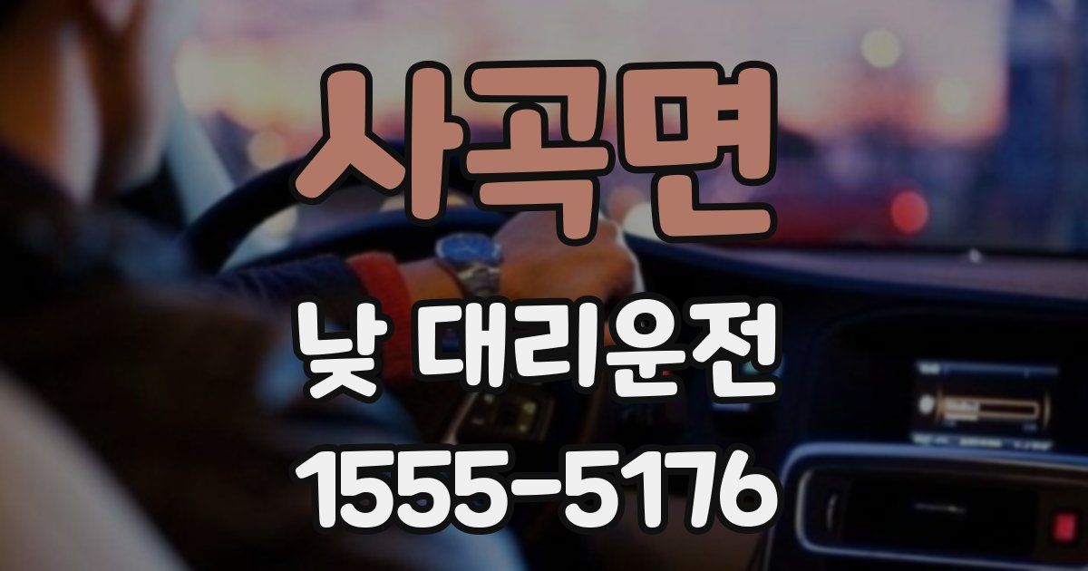 사곡면 낮 대리운전