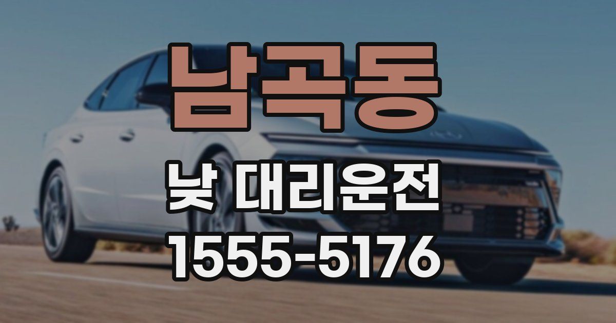 남곡동 낮 대리운전