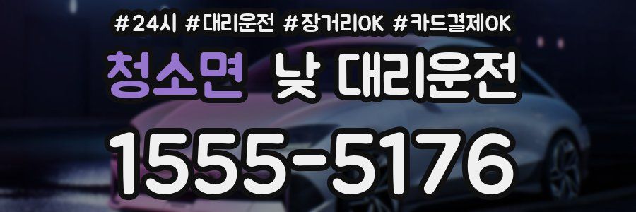 청소면 낮 대리운전