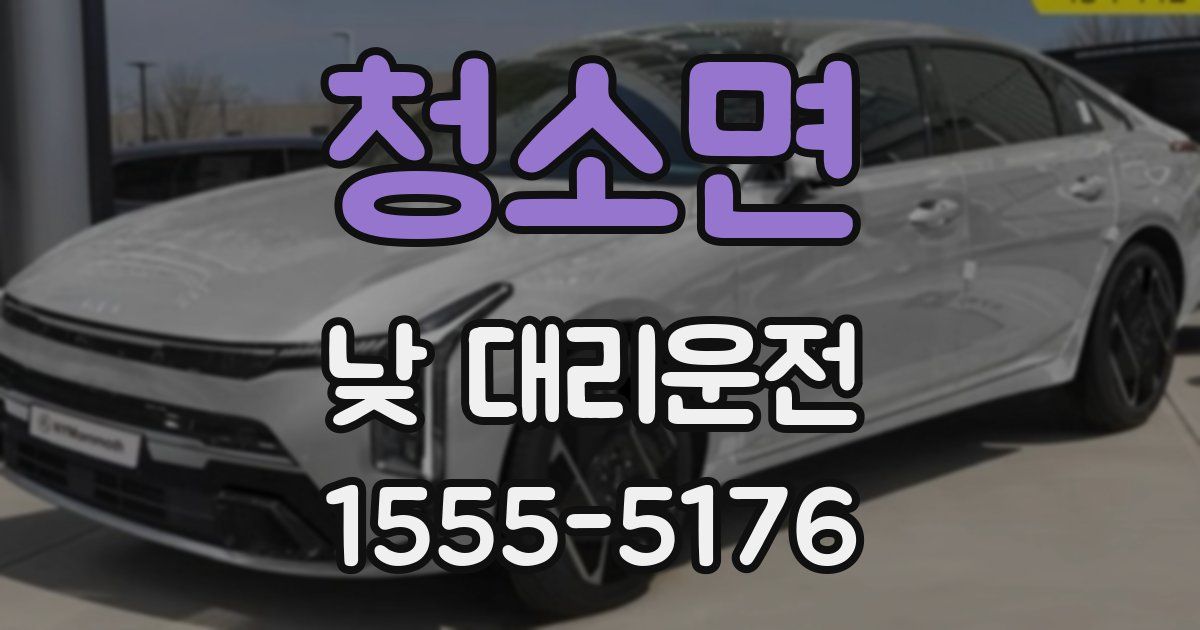 청소면 낮 대리운전