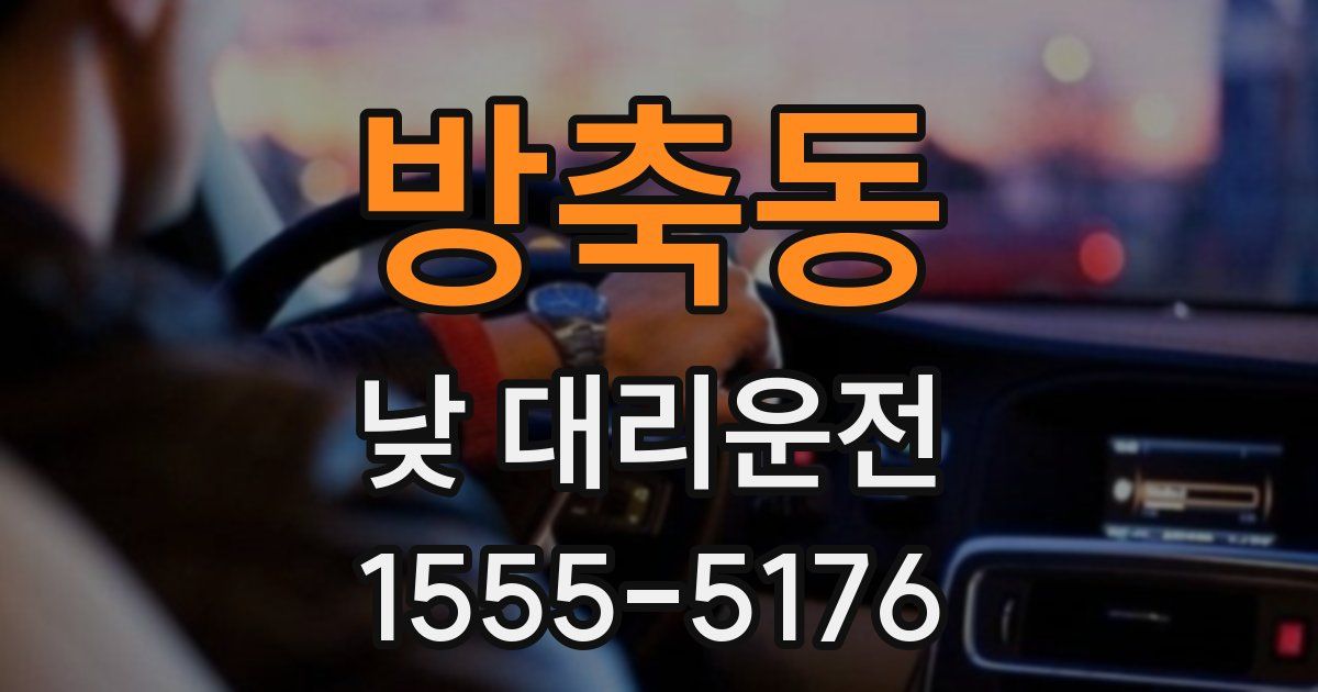 방축동 낮 대리운전