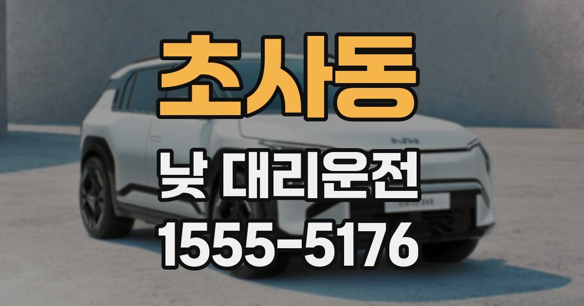 초사동 낮 대리운전