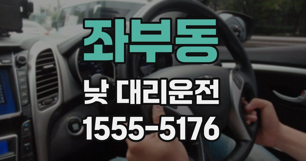 좌부동 낮 대리운전