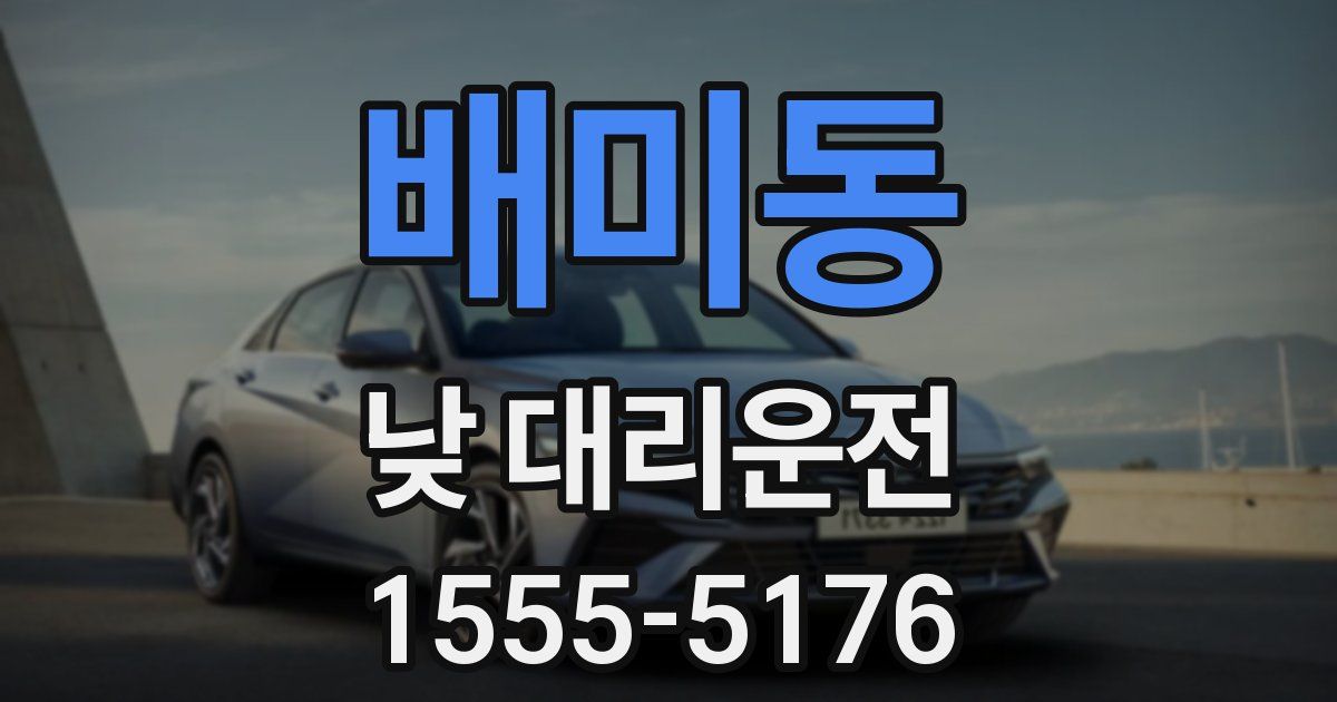 배미동 낮 대리운전