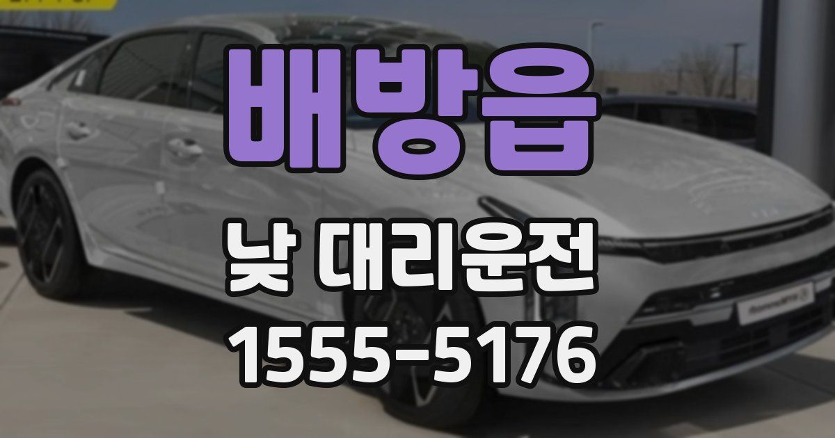 배방읍 낮 대리운전