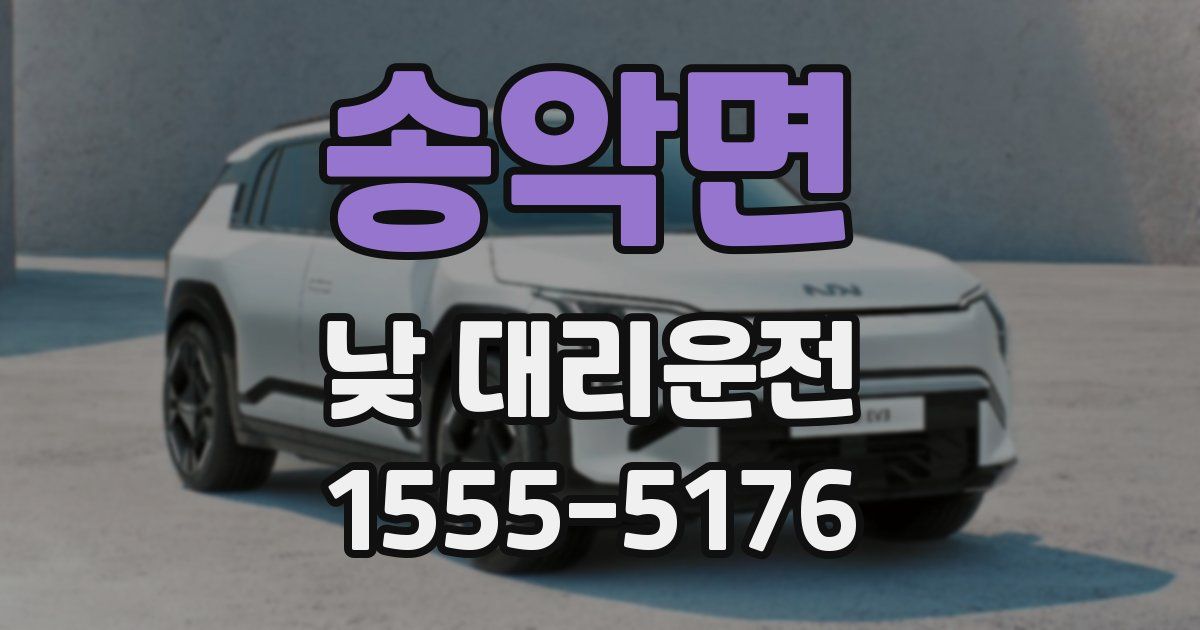송악면 낮 대리운전