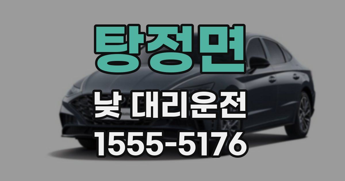 탕정면 낮 대리운전