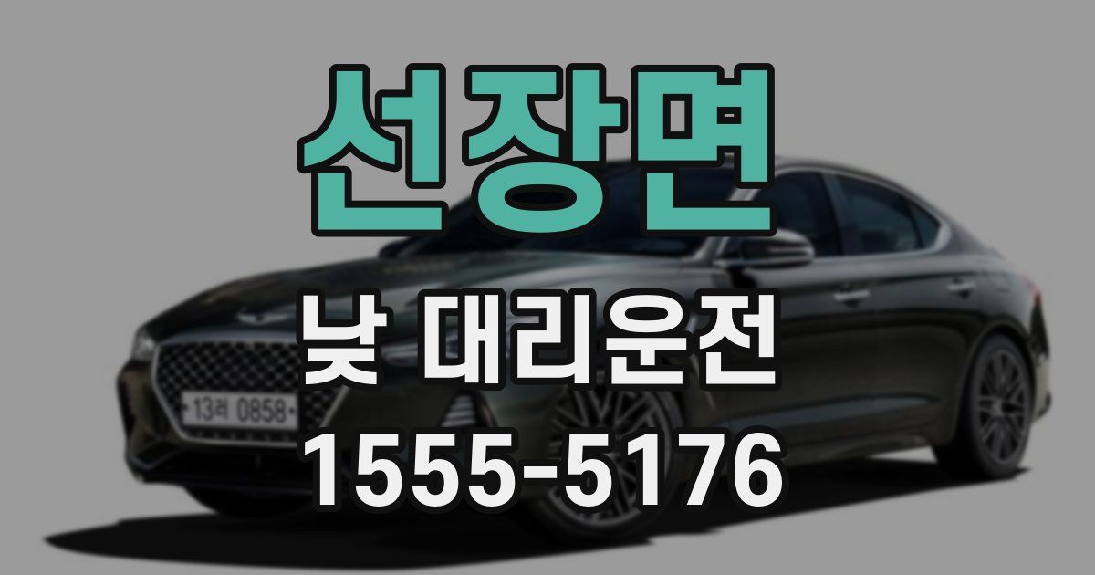 선장면 낮 대리운전