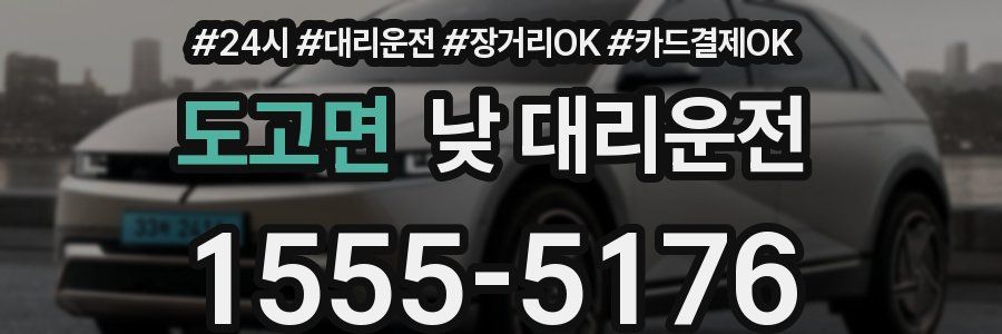 도고면 낮 대리운전