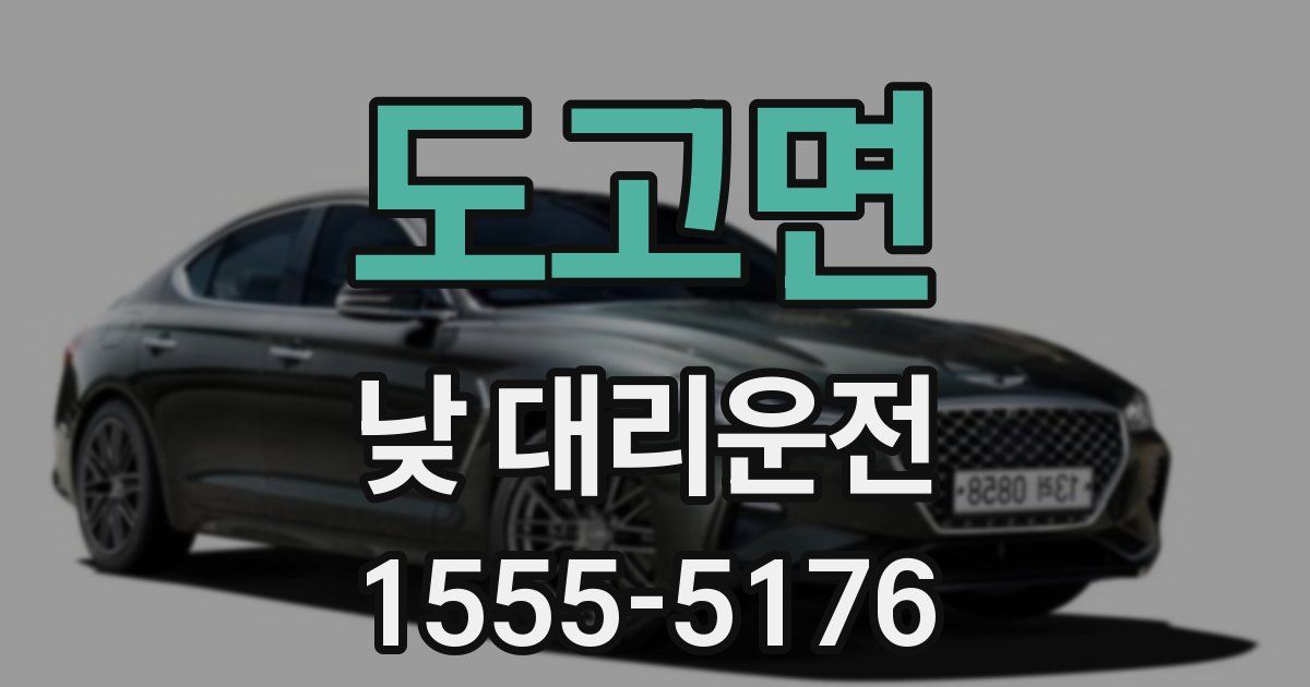 도고면 낮 대리운전