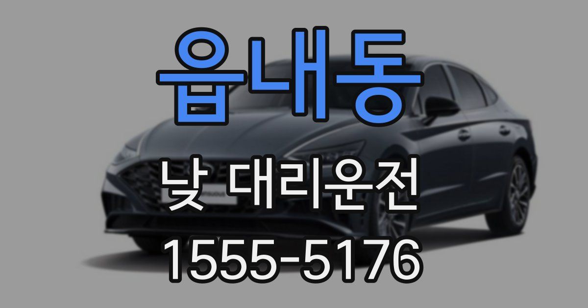 읍내동 낮 대리운전