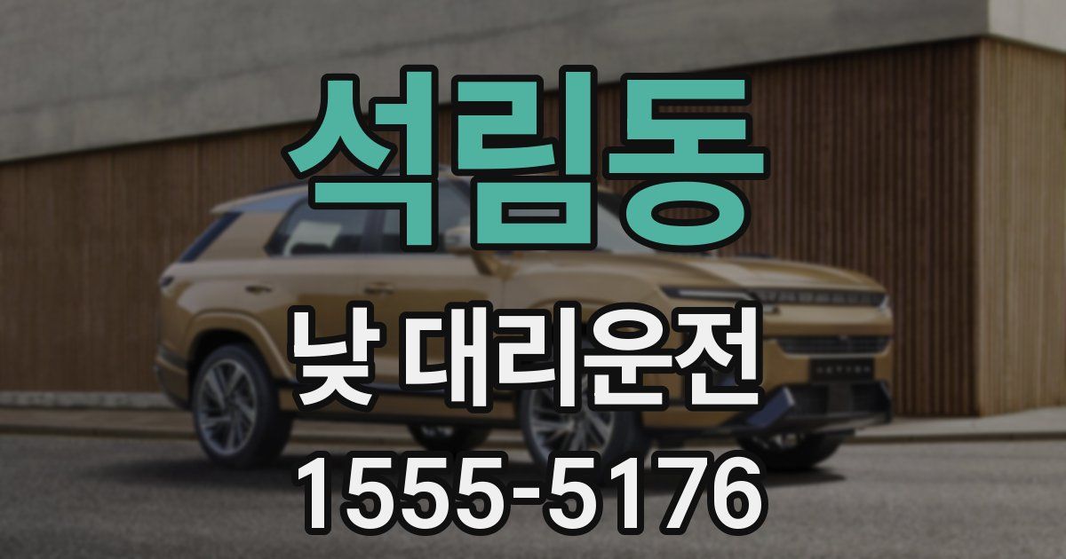 석림동 낮 대리운전