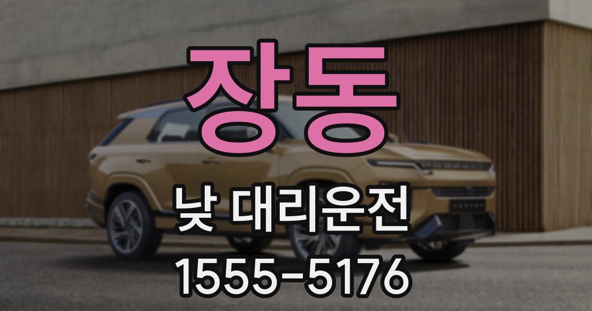 장동 낮 대리운전