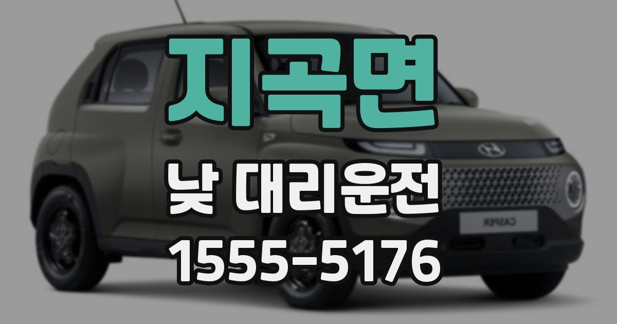 지곡면 낮 대리운전
