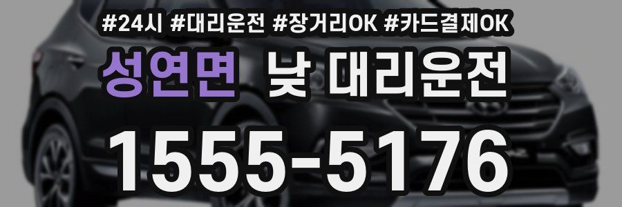 성연면 낮 대리운전