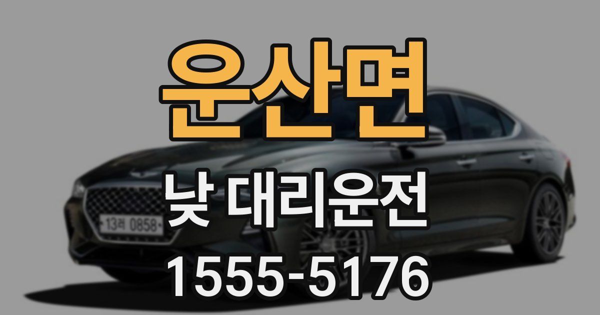 운산면 낮 대리운전