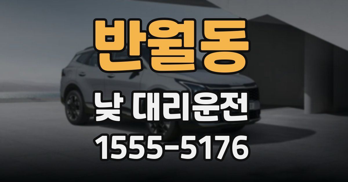 반월동 낮 대리운전