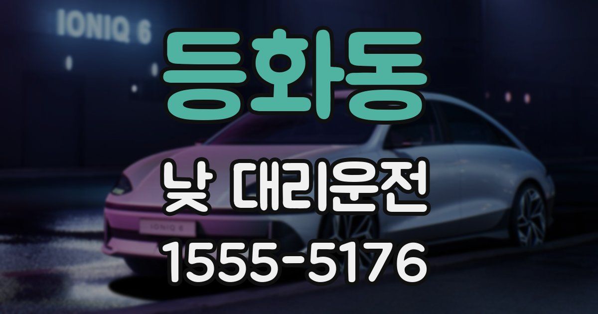 등화동 낮 대리운전