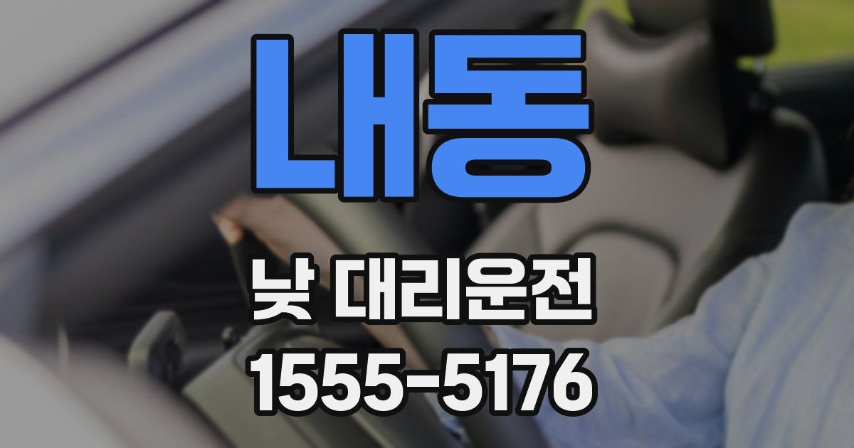 내동 낮 대리운전