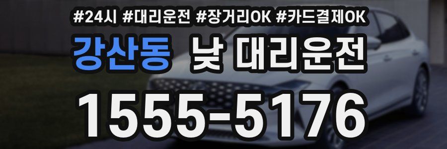 강산동 낮 대리운전