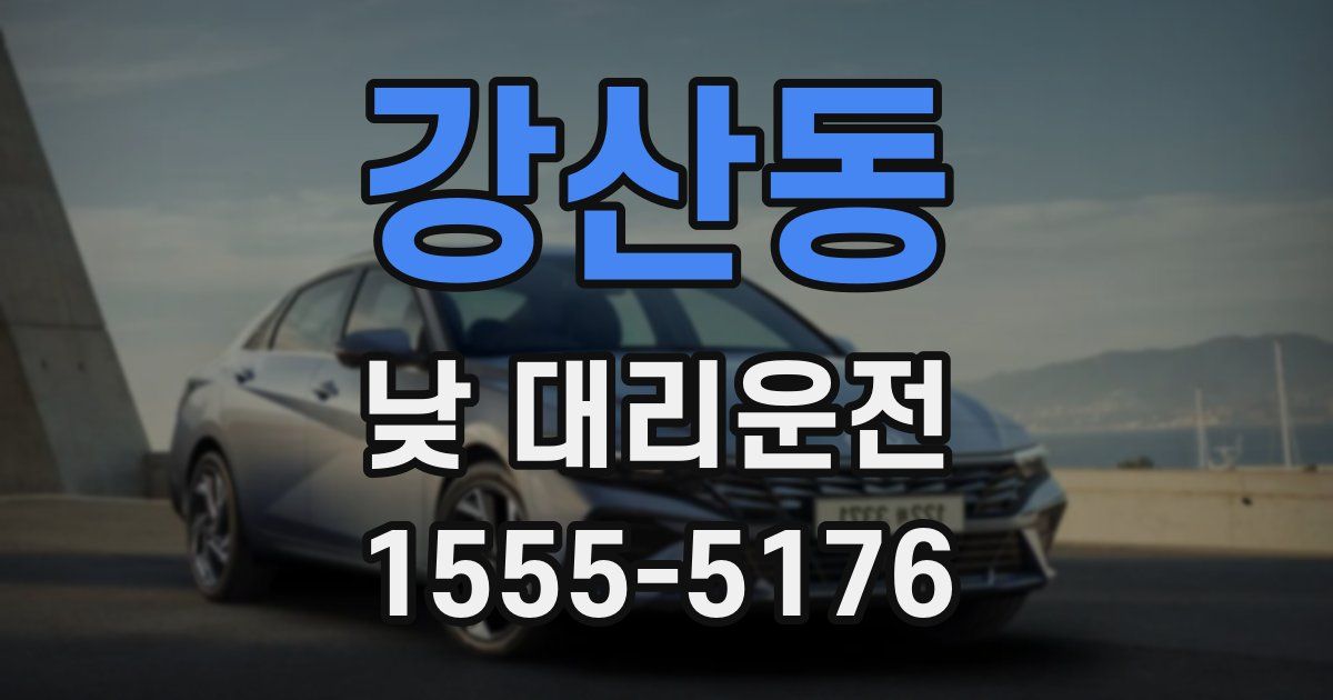 강산동 낮 대리운전