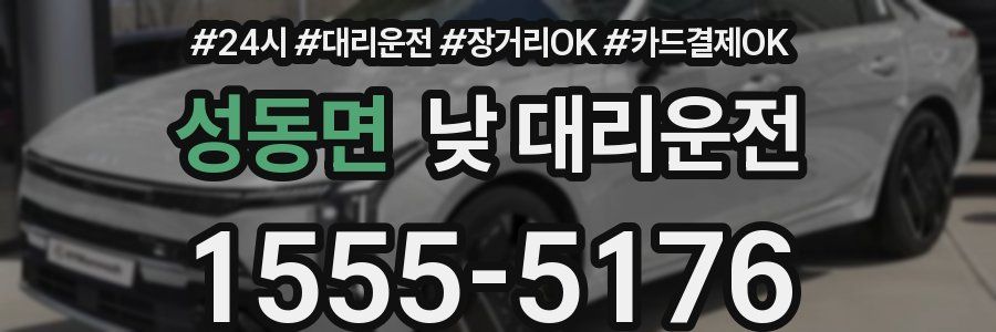 성동면 낮 대리운전