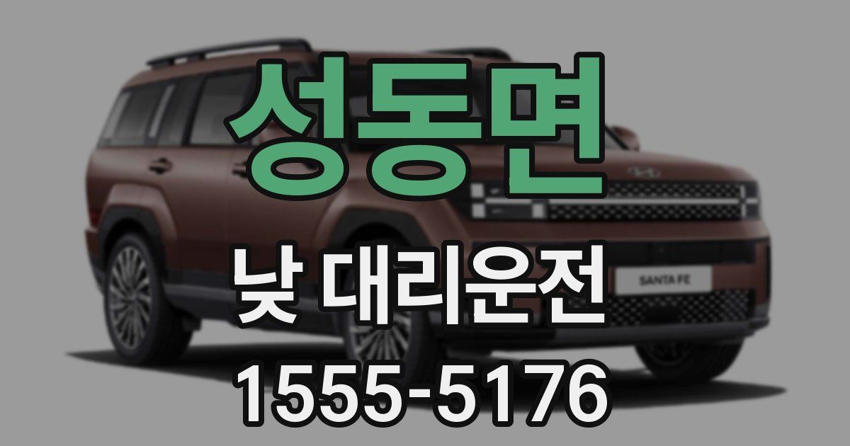 성동면 낮 대리운전