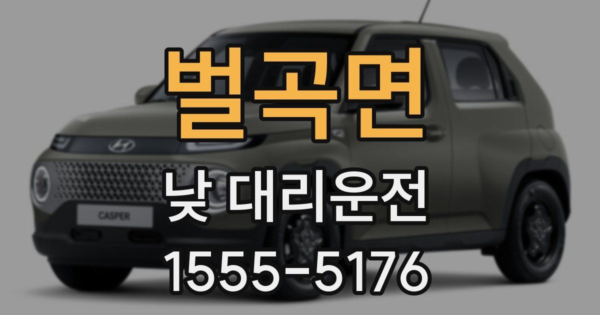 벌곡면 낮 대리운전