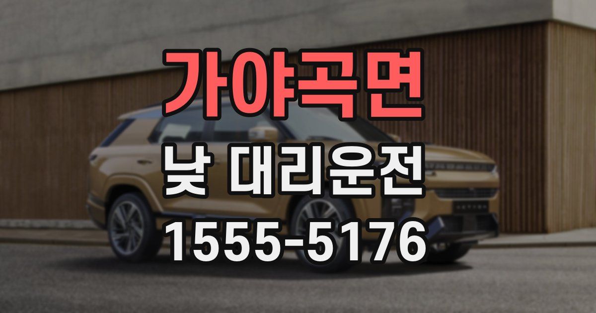 가야곡면 낮 대리운전