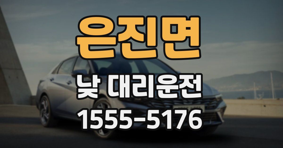 은진면 낮 대리운전