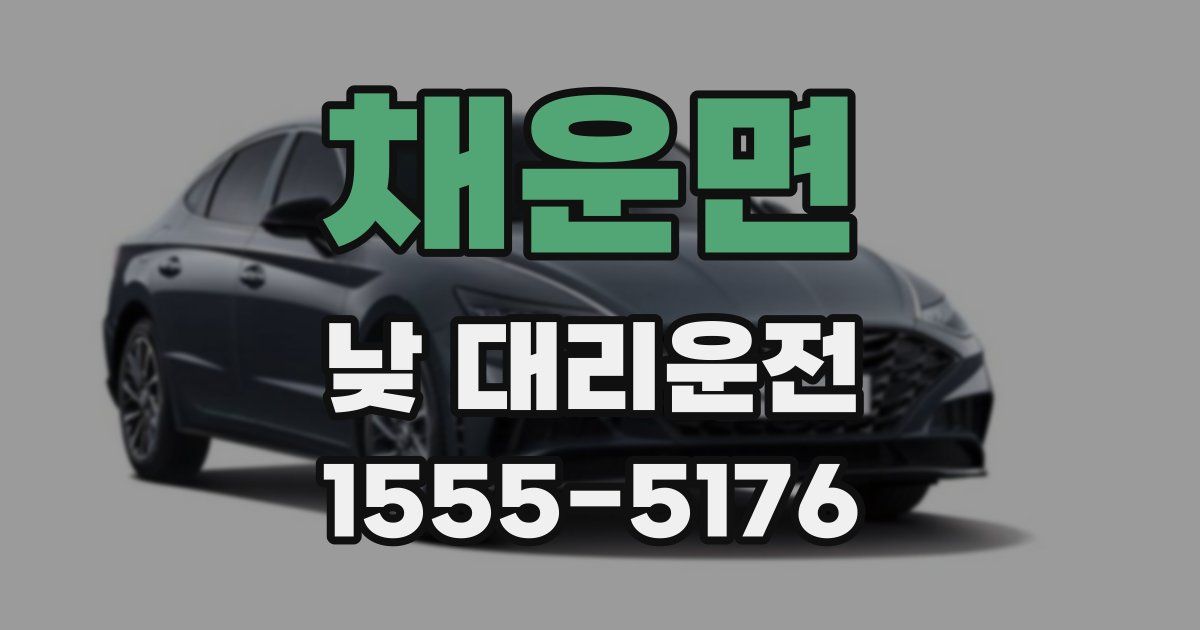 채운면 낮 대리운전