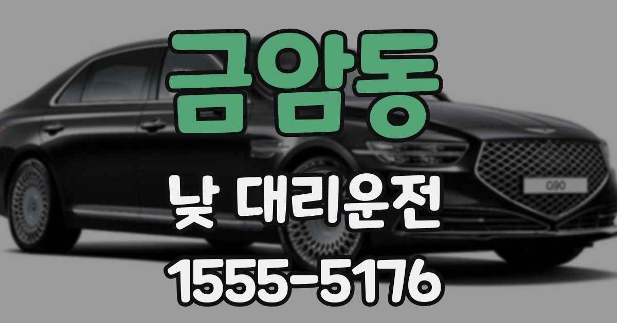 금암동 낮 대리운전