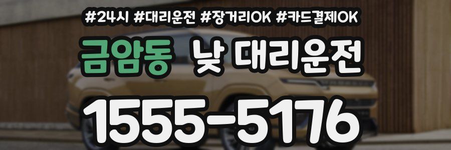 금암동 낮 대리운전