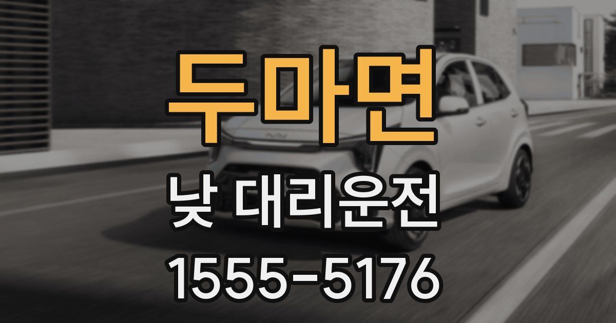 두마면 낮 대리운전