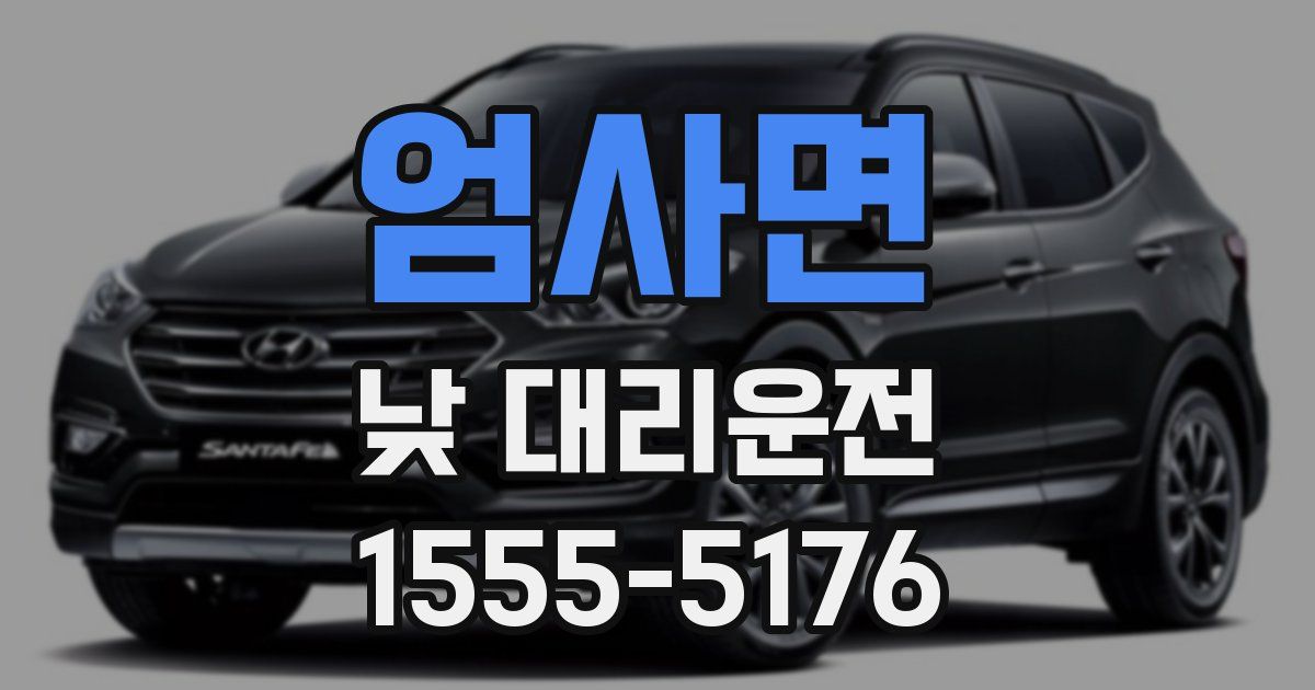 엄사면 낮 대리운전