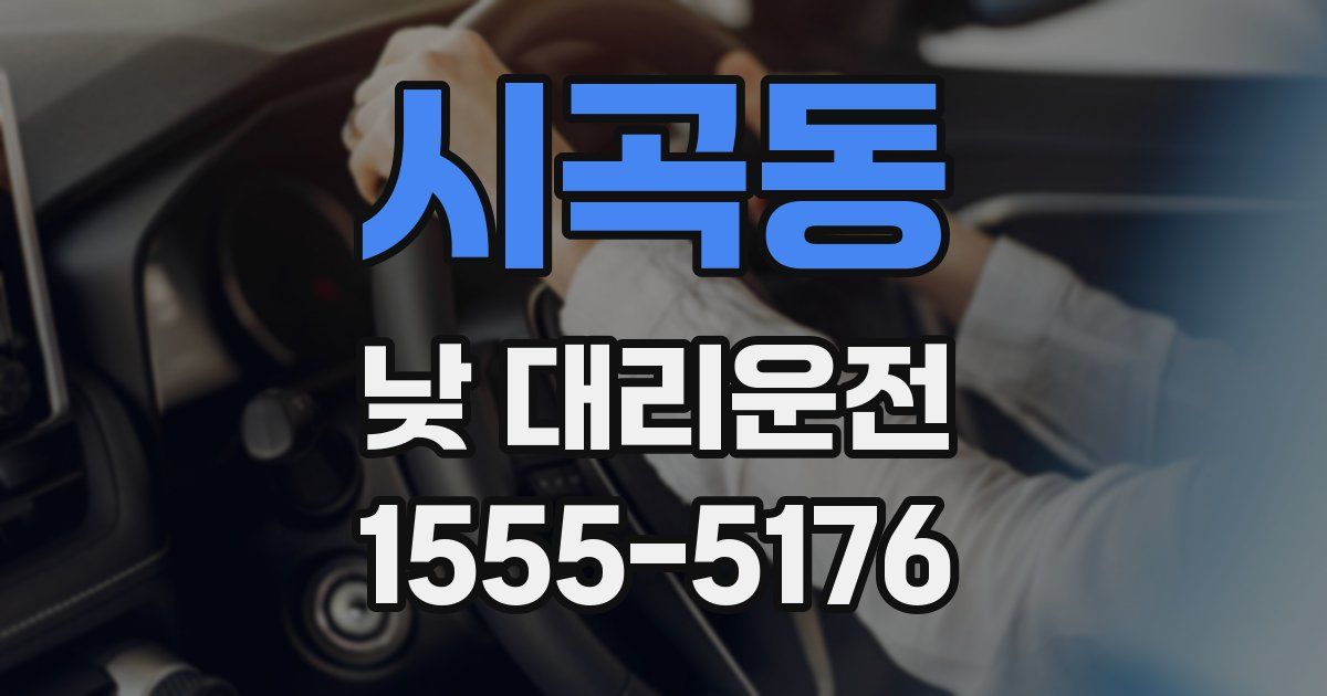 시곡동 낮 대리운전