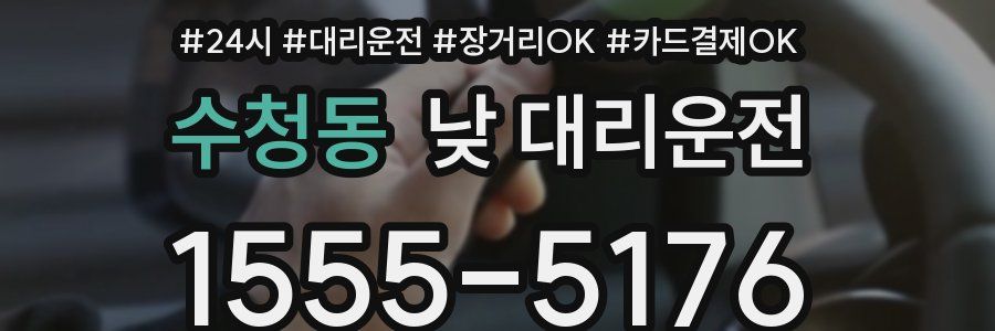 수청동 낮 대리운전