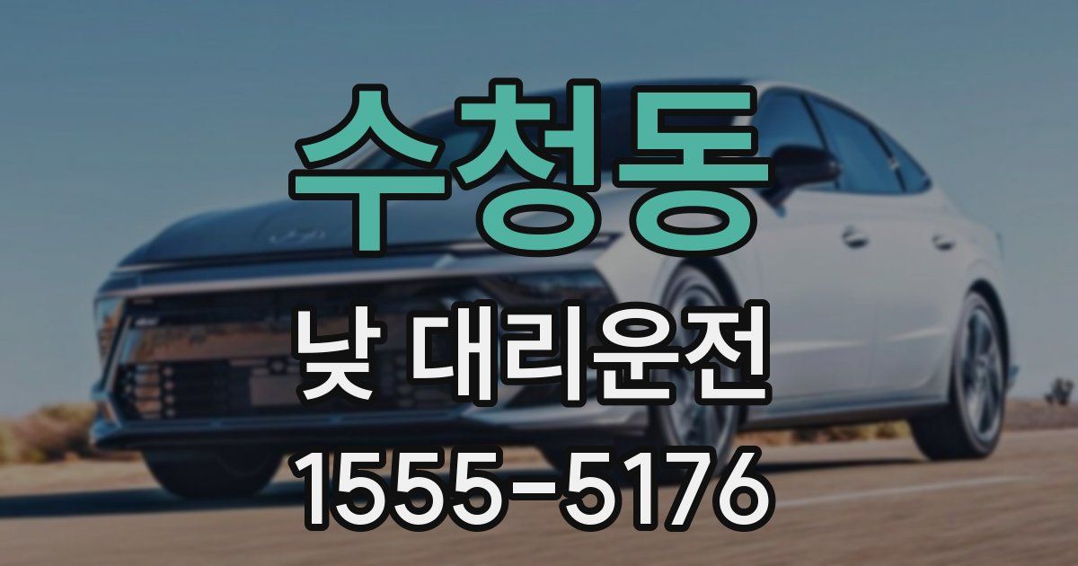 수청동 낮 대리운전
