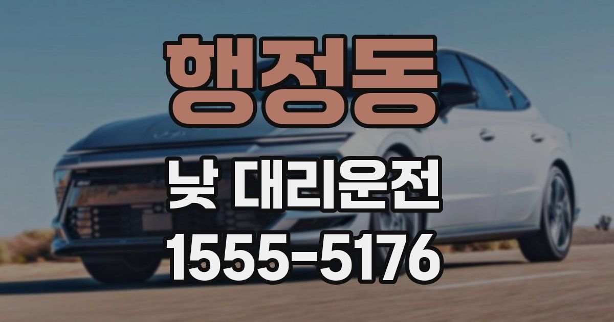 행정동 낮 대리운전