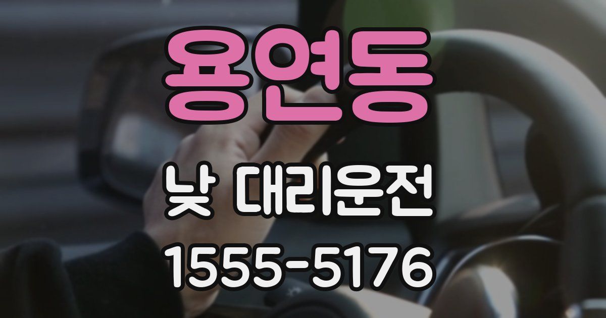 용연동 낮 대리운전