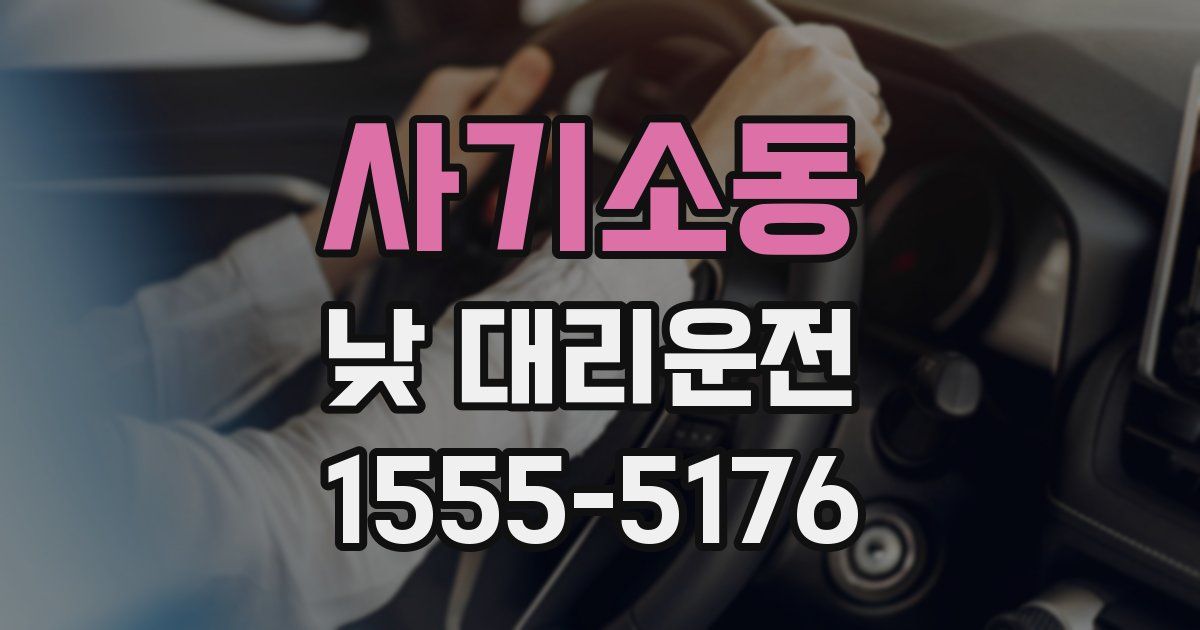 사기소동 낮 대리운전