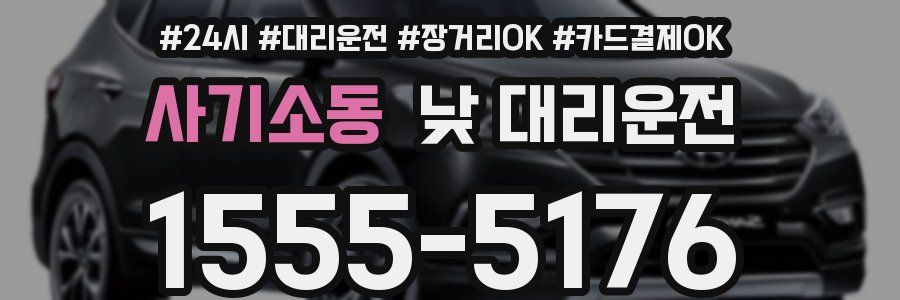 사기소동 낮 대리운전