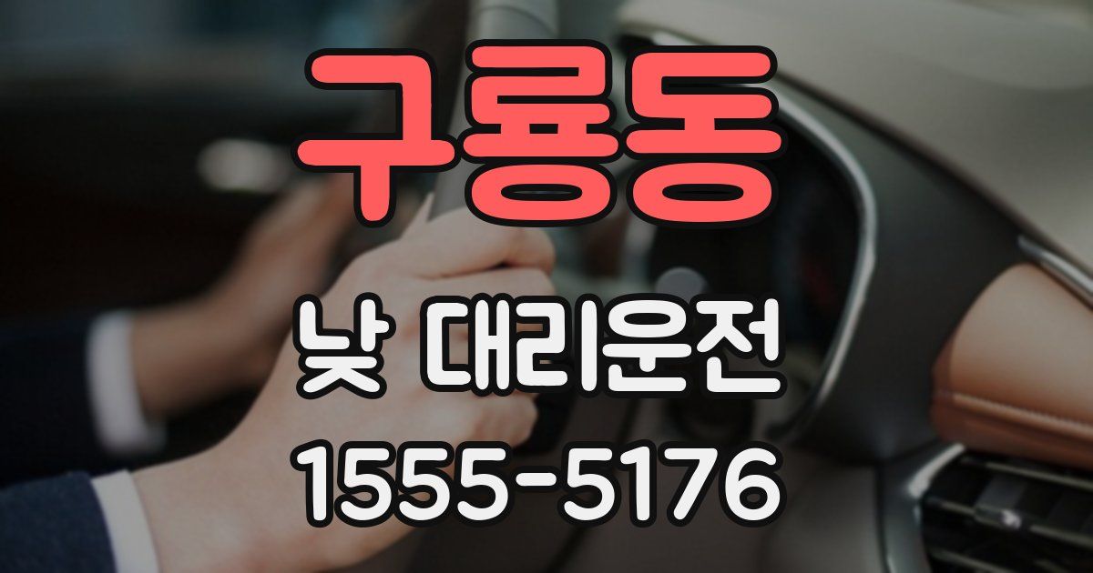 구룡동 낮 대리운전