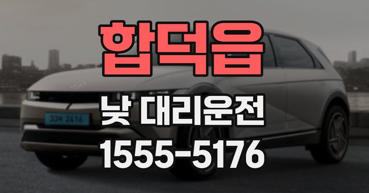 합덕읍 낮 대리운전
