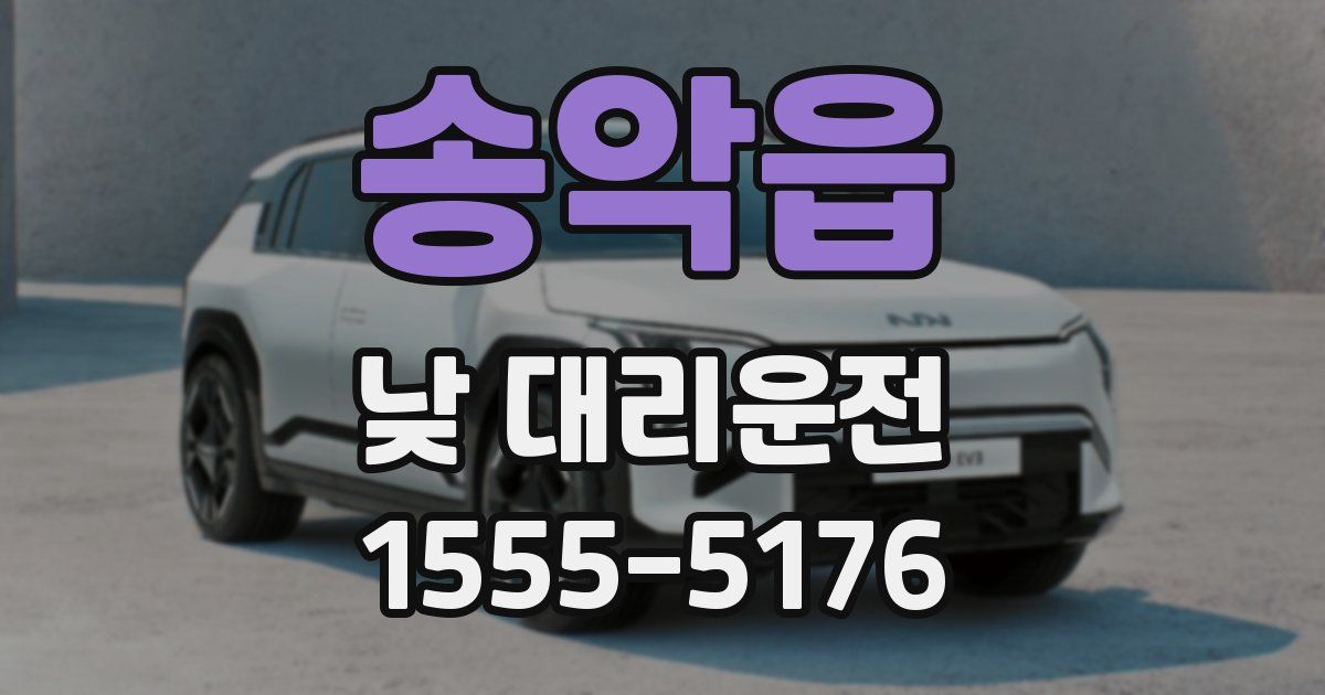 송악읍 낮 대리운전